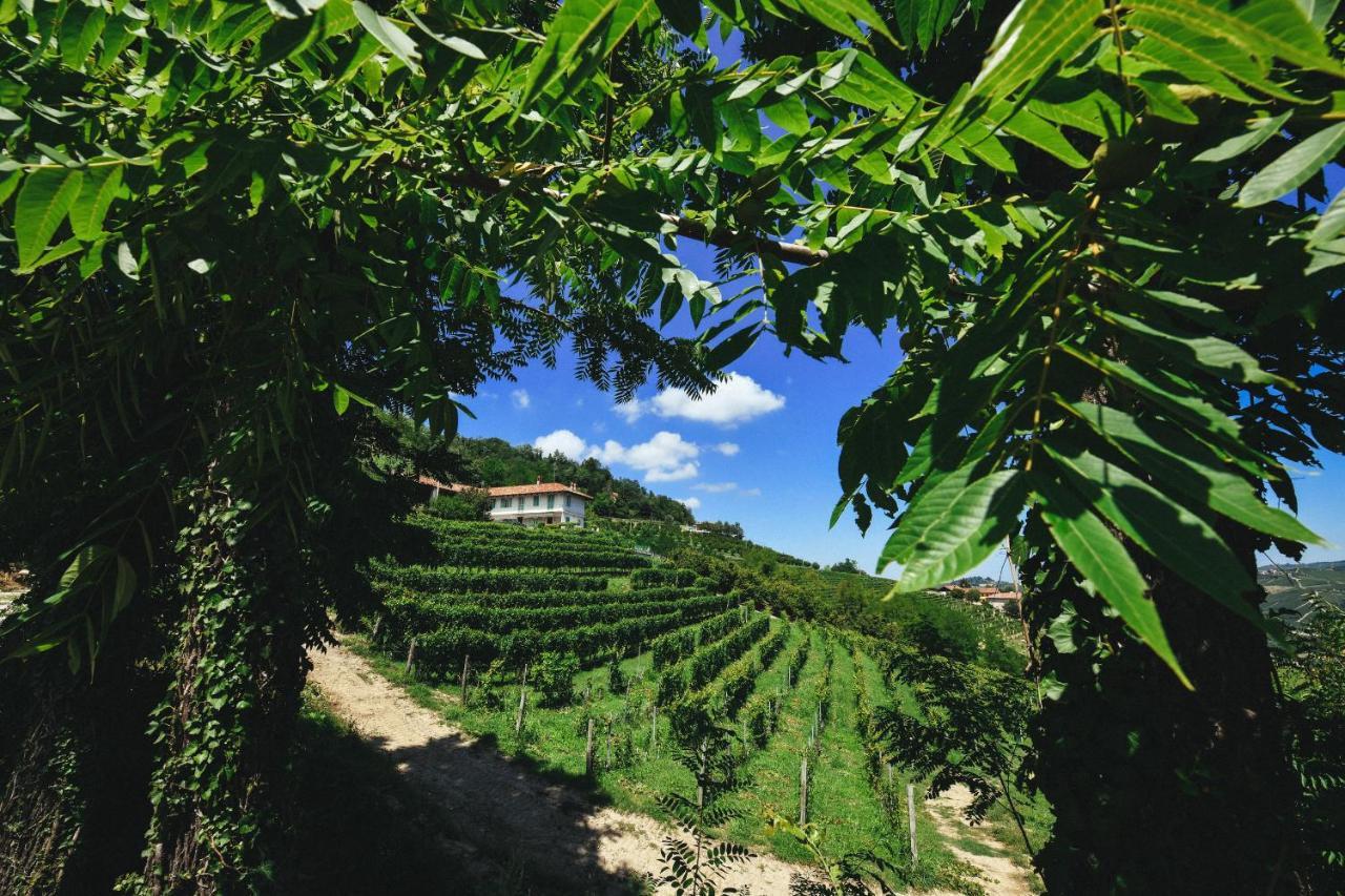 Cascina Flino Lägenhet Diano dʼAlba Exteriör bild